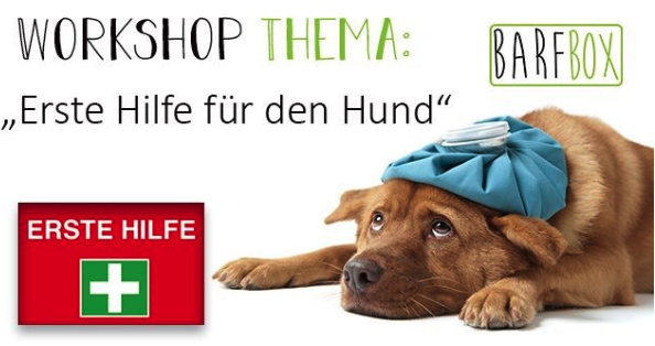 Erste Hilfe für Hunde - Workshop in der Barf Box Ortenberg